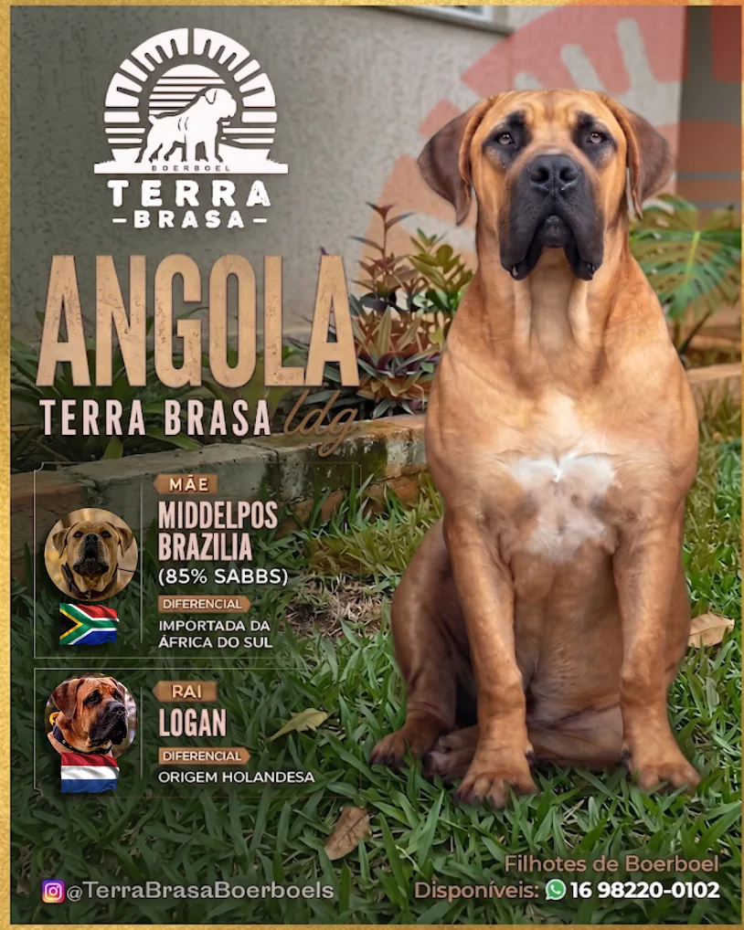 Angola Terra Brasa